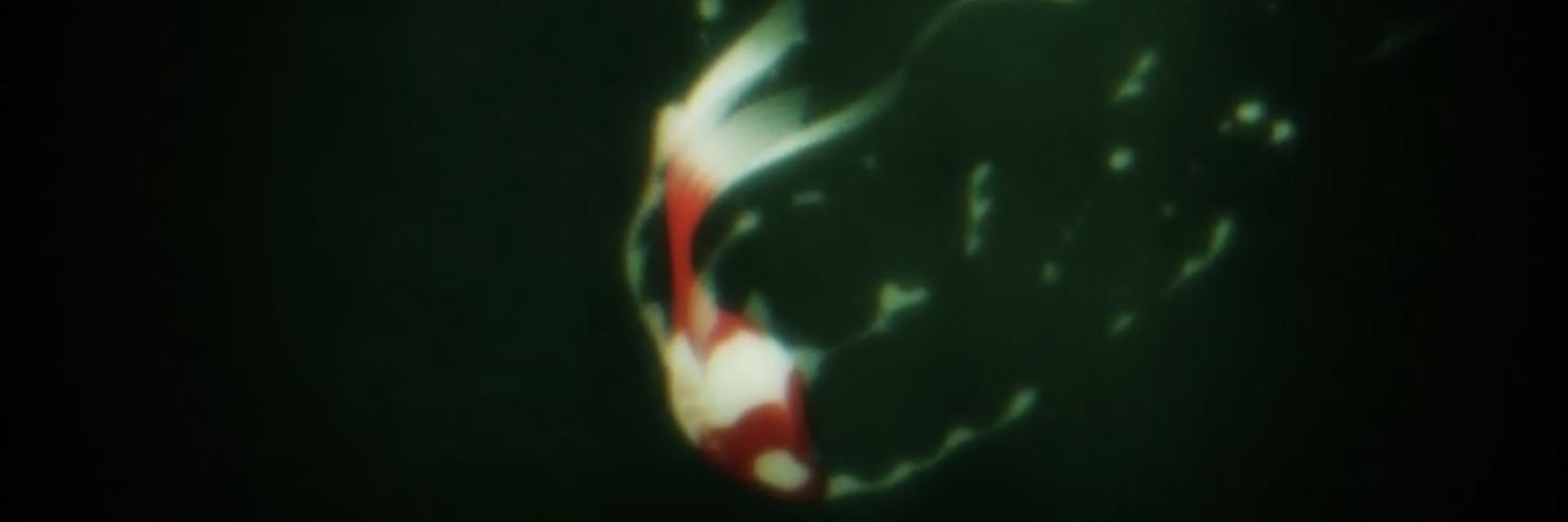 Kolbe_Minh's profile banner image