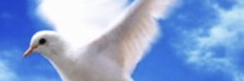 AlexMSaska's profile banner image