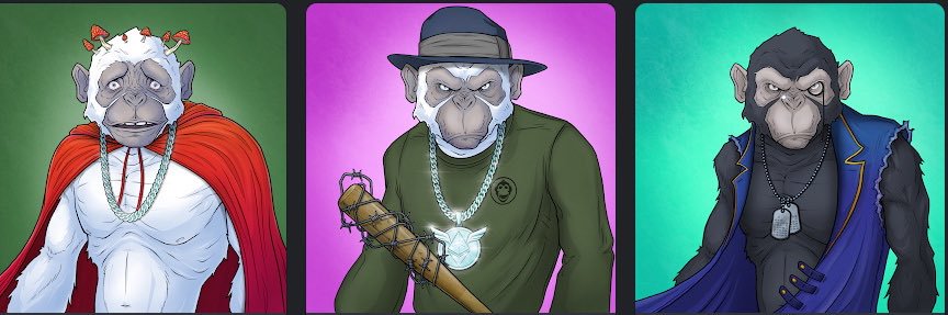 rafaterra's profile banner image