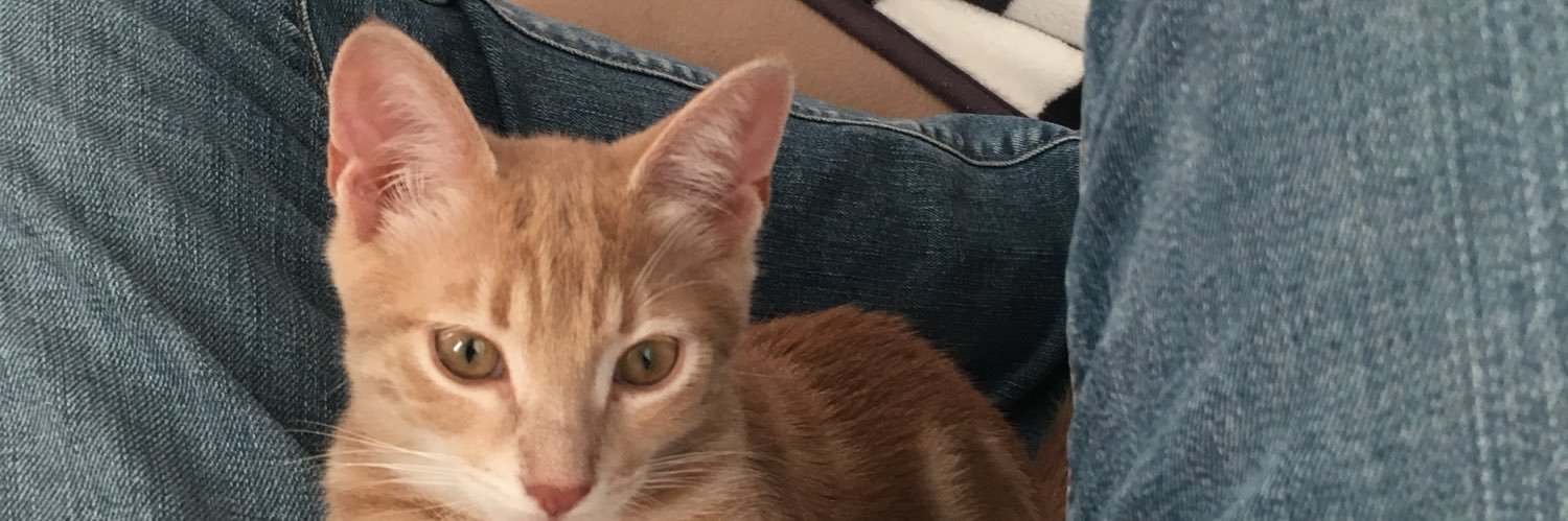 HAMZADEMR25's profile banner image