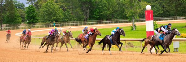 Flurry_Racing Profile Banner