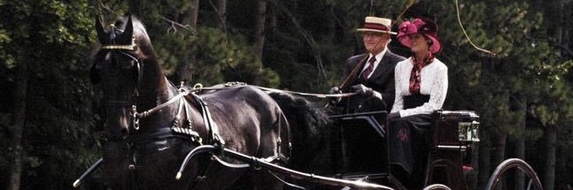 gward07's profile banner image