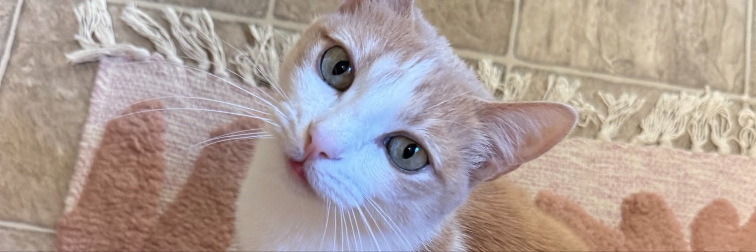 macksy19's profile banner image
