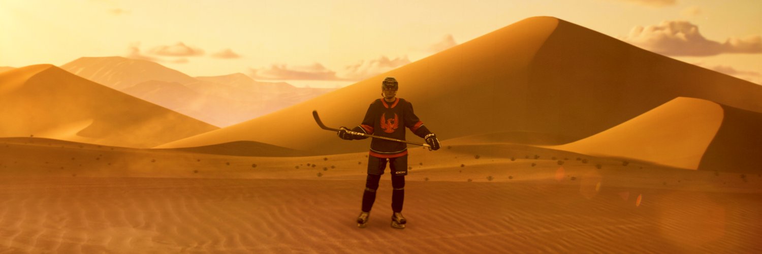 Vashi Nedomansky, ACE's banner