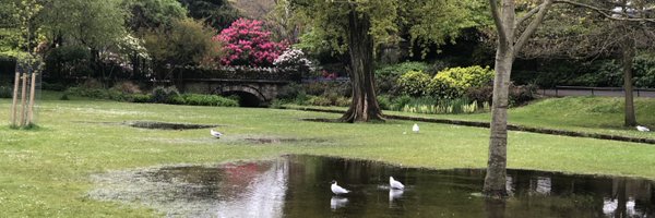 iresearch Profile Banner