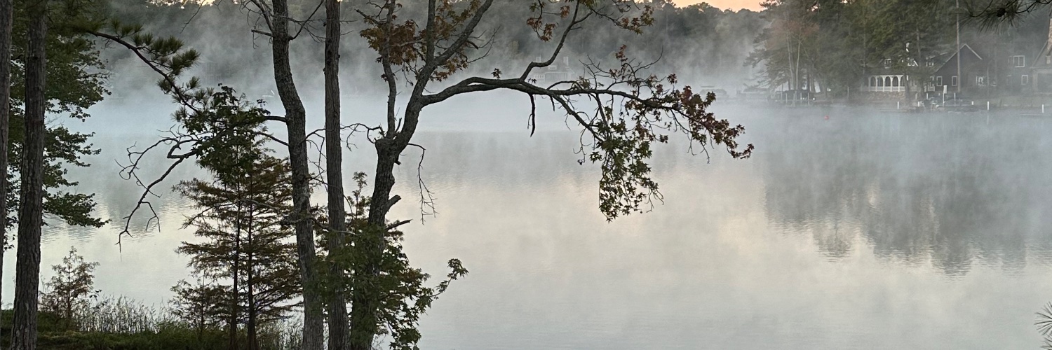 davidbrasfield's profile banner image