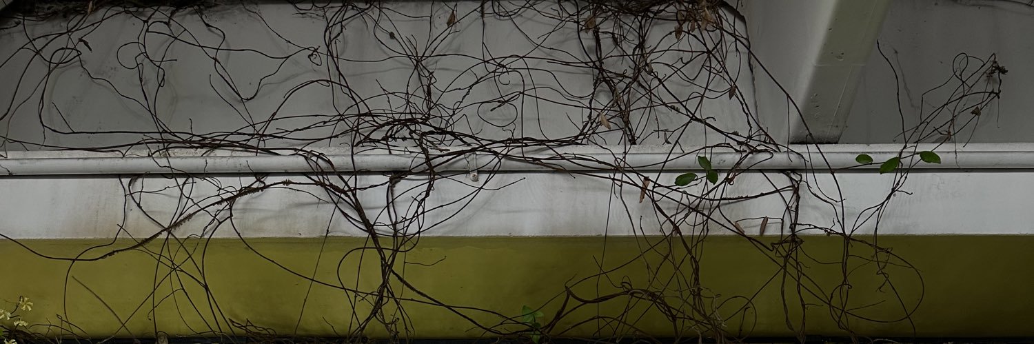 haildoner's profile banner image