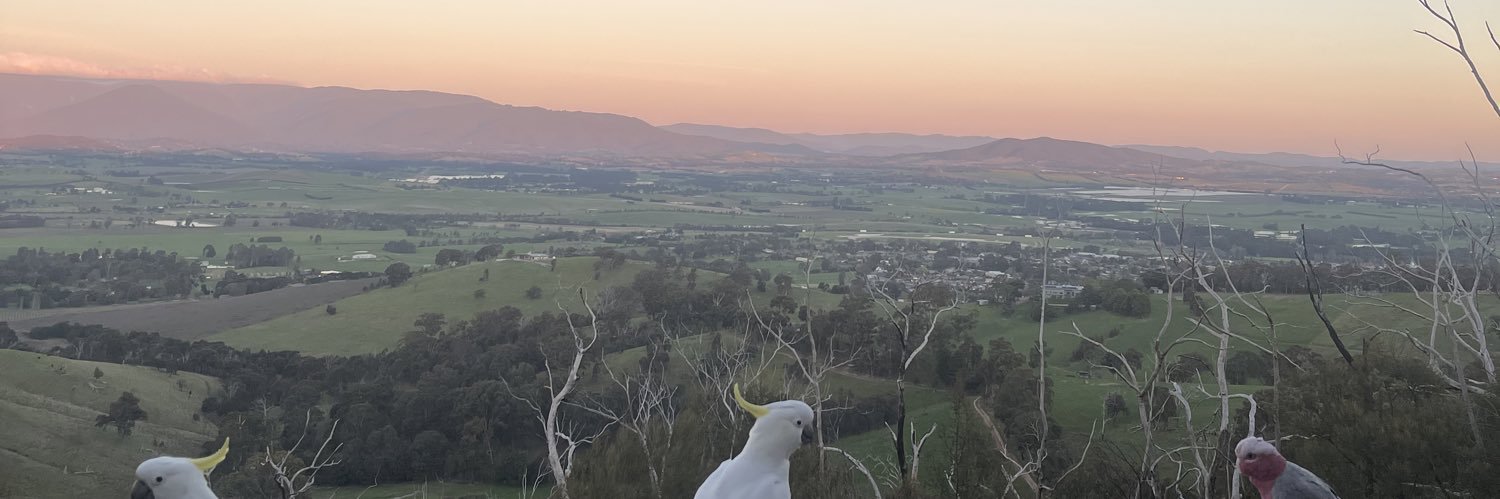 BishopAlice's profile banner image