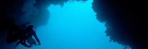 orientdiver's profile banner image