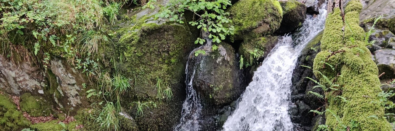 Melody Redman banner