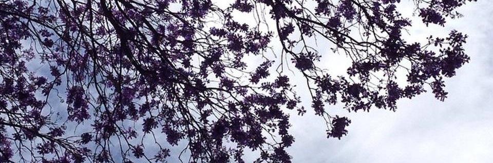ComiteColPostal's profile banner image