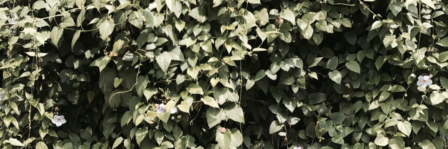 amadnaem's profile banner image