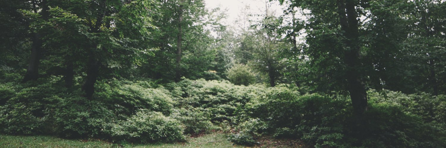 yunkafa's profile banner image