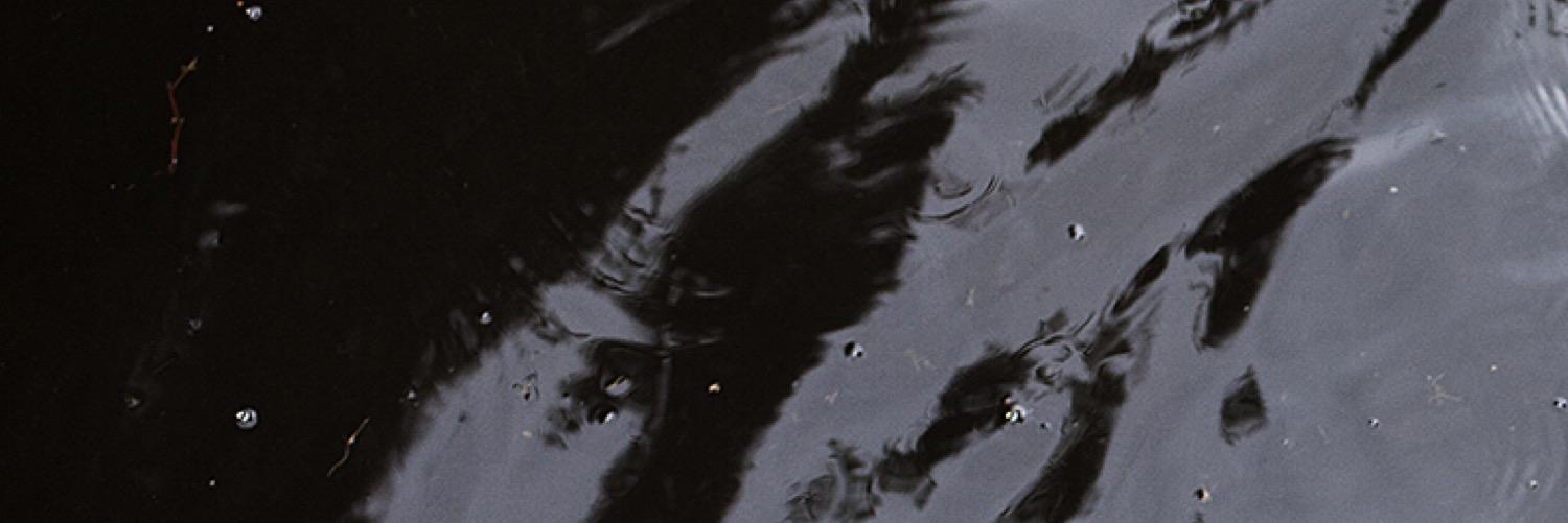 queermoviez's profile banner image