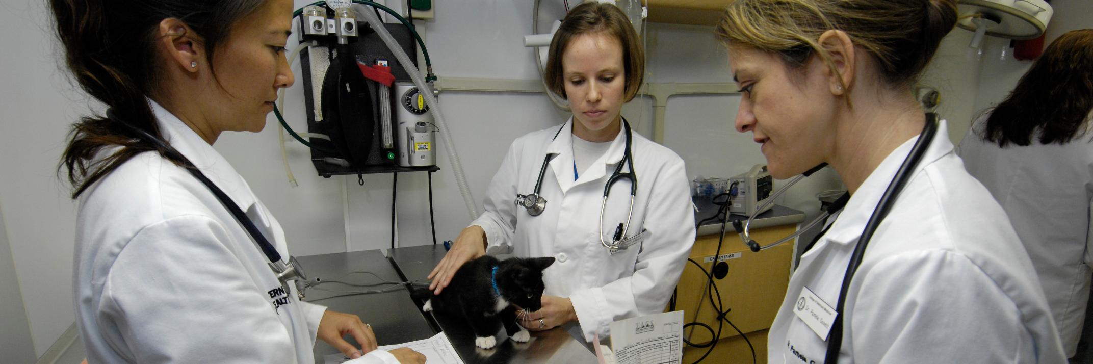 WesternU_DVM's profile banner image