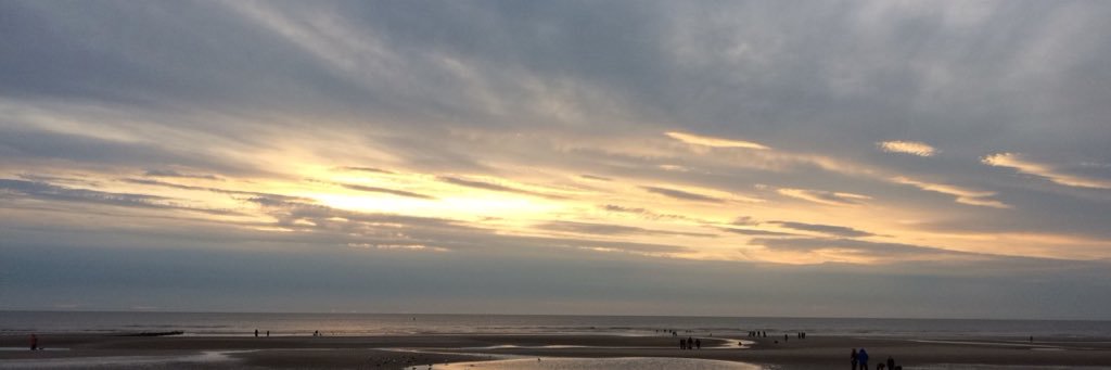 JCMeadowsx's profile banner image