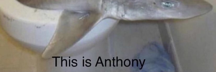 Anthony_cap_'s profile banner image