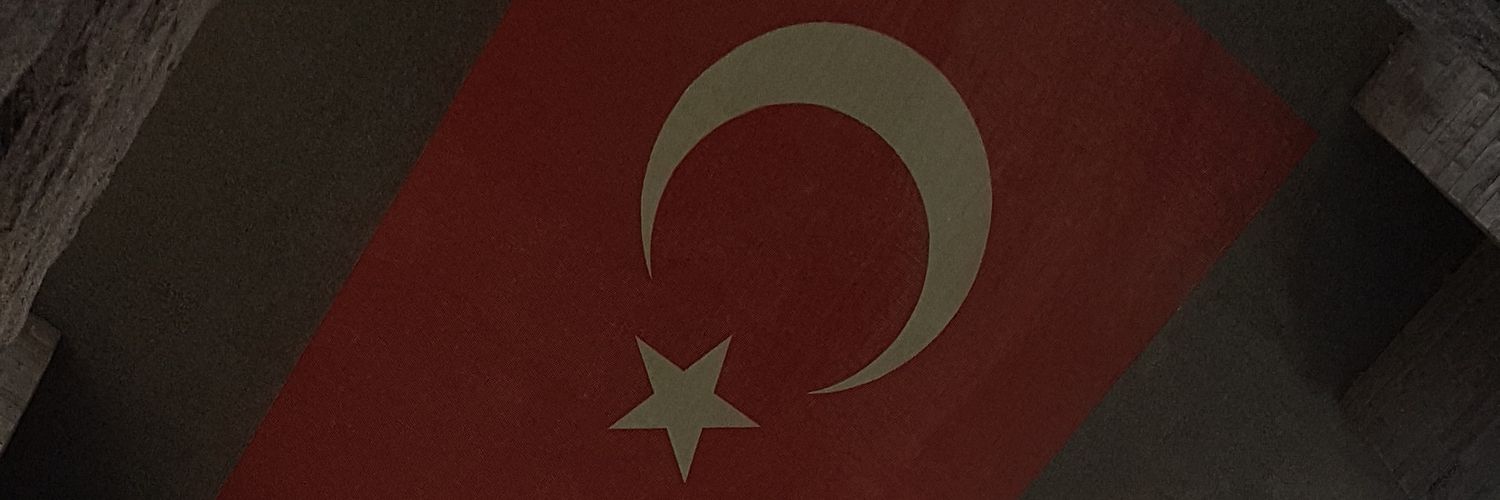 tezelzengin's profile banner image