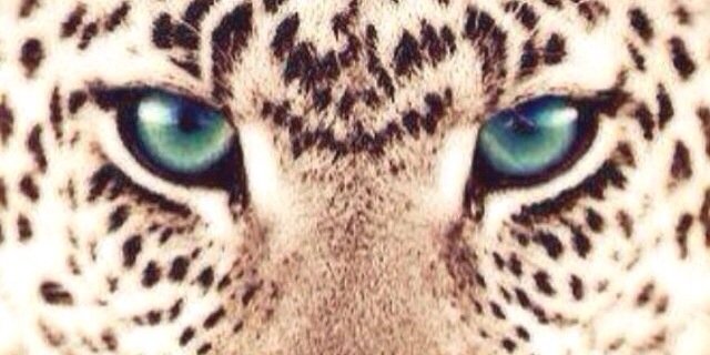 xxanouk2's profile banner image