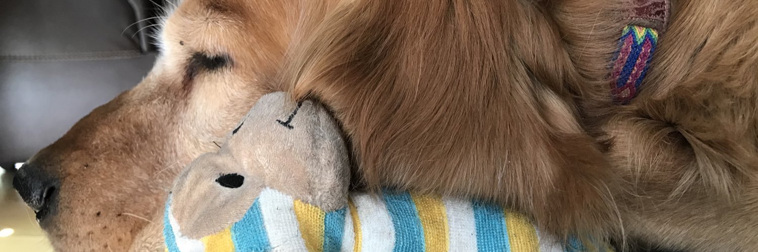 AnnieChM's profile banner image