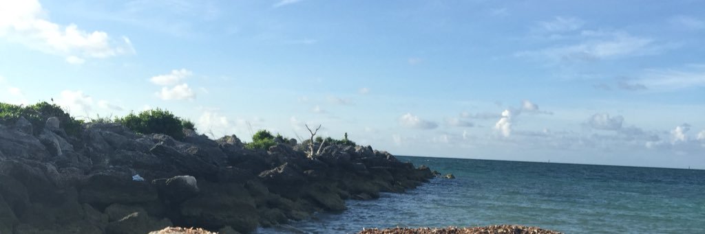 mschar4's profile banner image