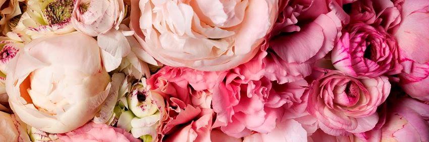 Fresh__Kiss's profile banner image