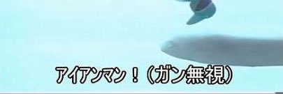 shiu0785's profile banner image