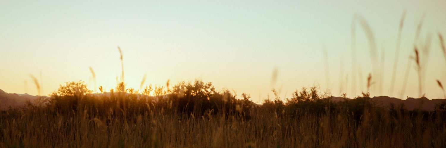 Thegutilv's profile banner image