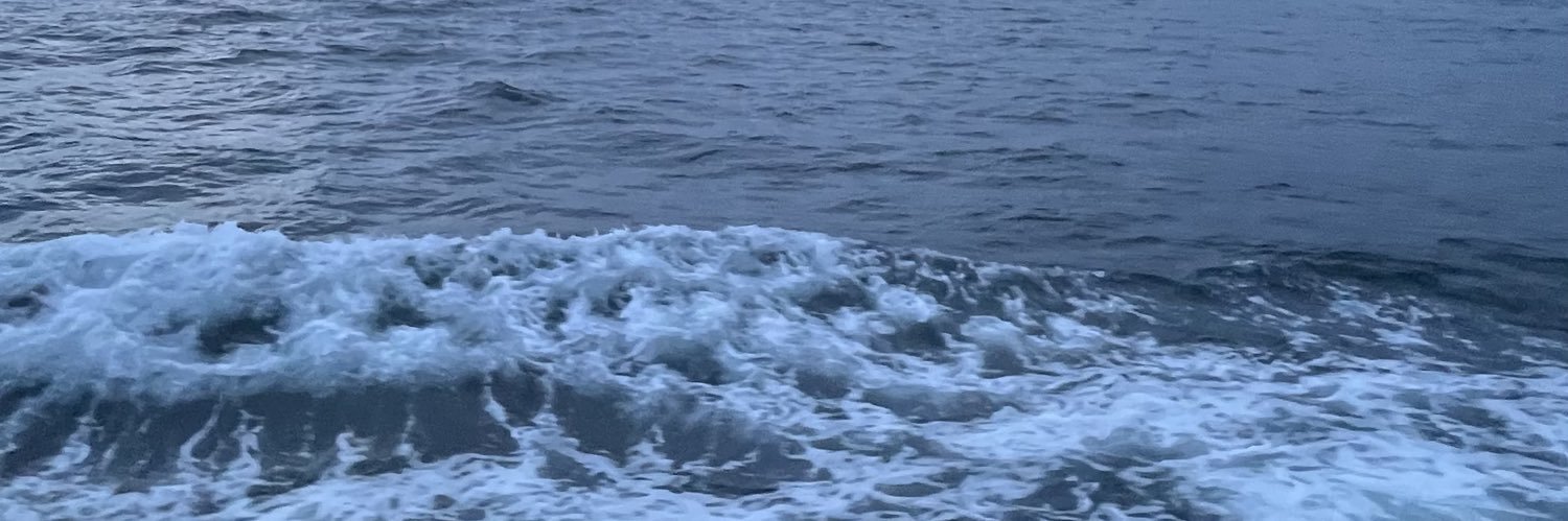 sedacknaysn's profile banner image