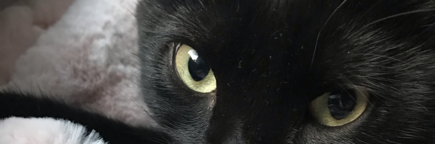 Smumsmums's profile banner image