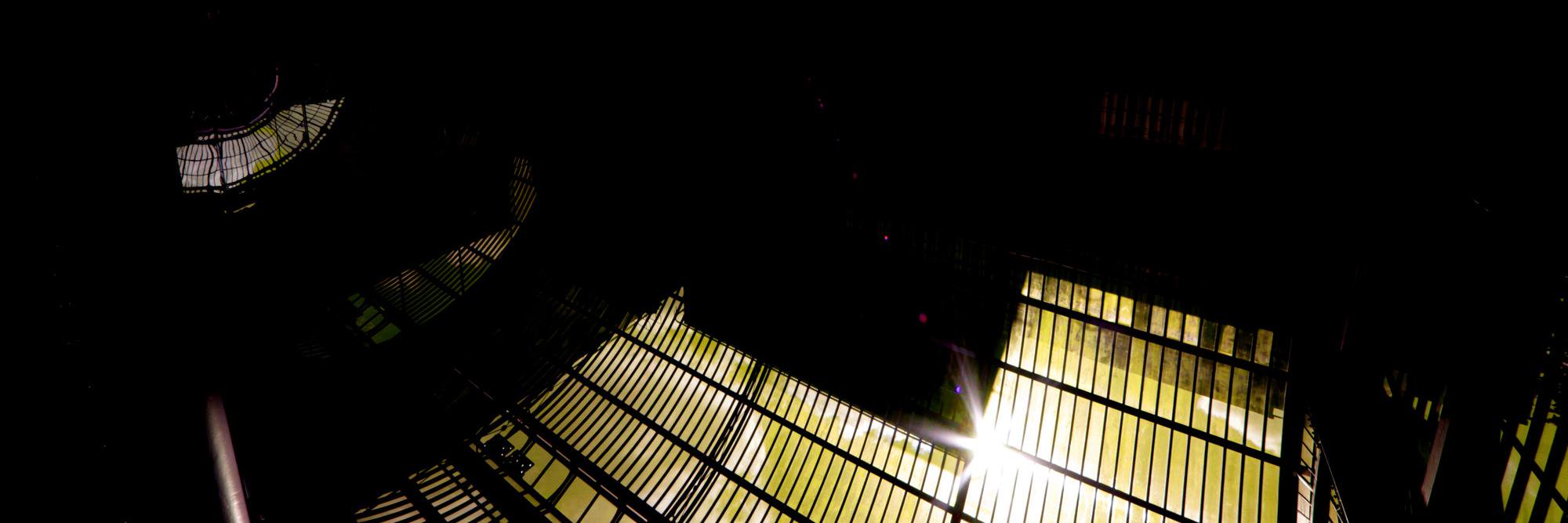 Nicola Cavalazzi banner