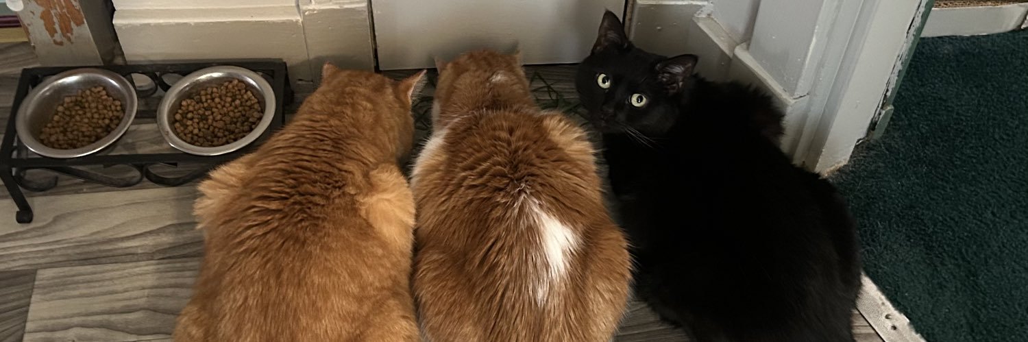 MyCatsLoveTRUMP🇺🇸 ✝️ 🐈 🐈‍⬛ 🐈 banner