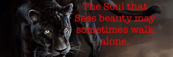 CatOfTheJungle's profile banner image
