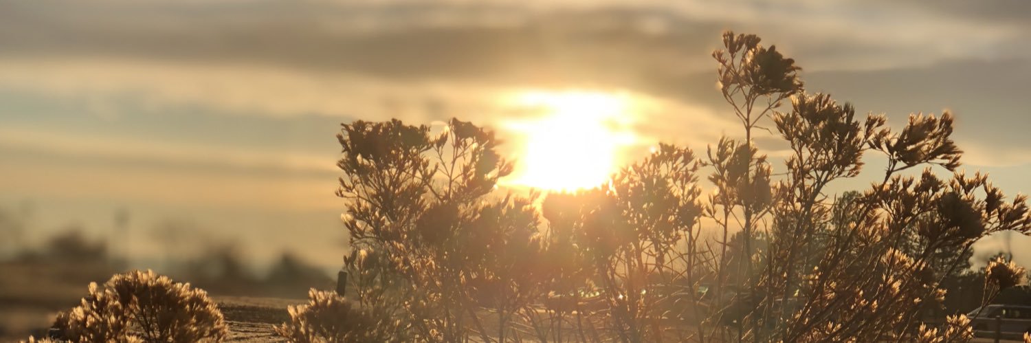 BeeKneeSocks's profile banner image