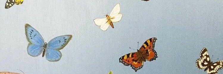 stephanie ☽ banner