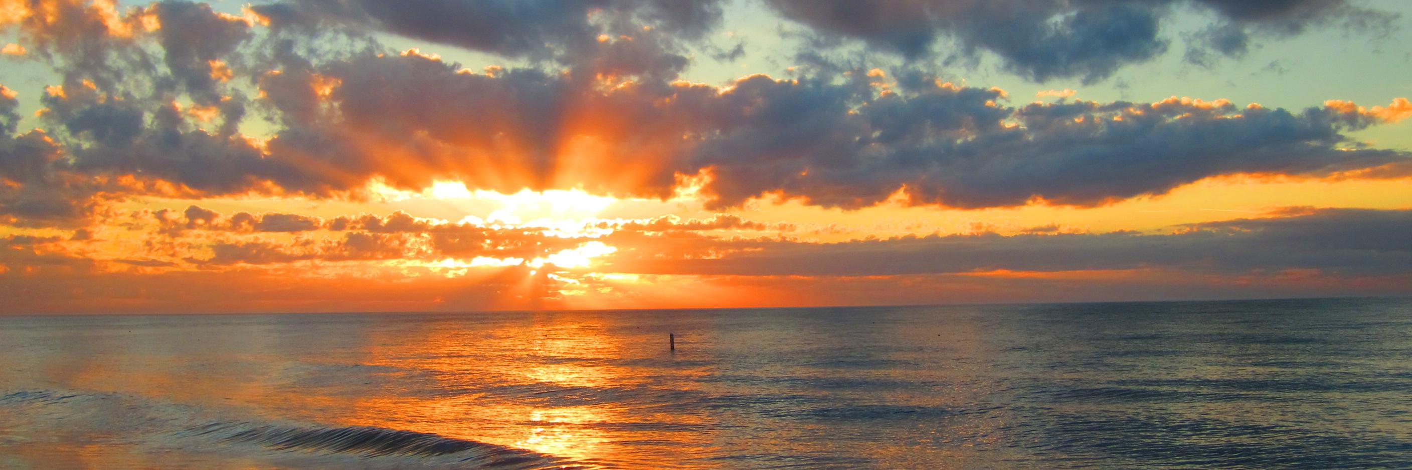 DebraFreedman's profile banner image