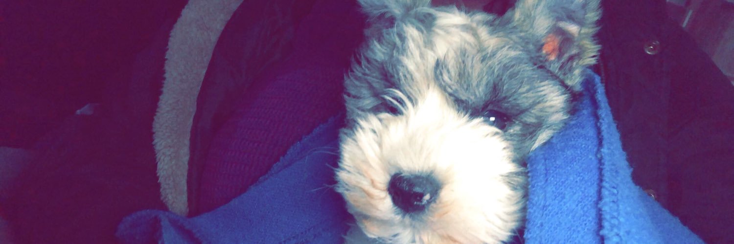 cheybxo's profile banner image