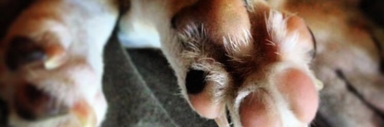 mattsthe1's profile banner image