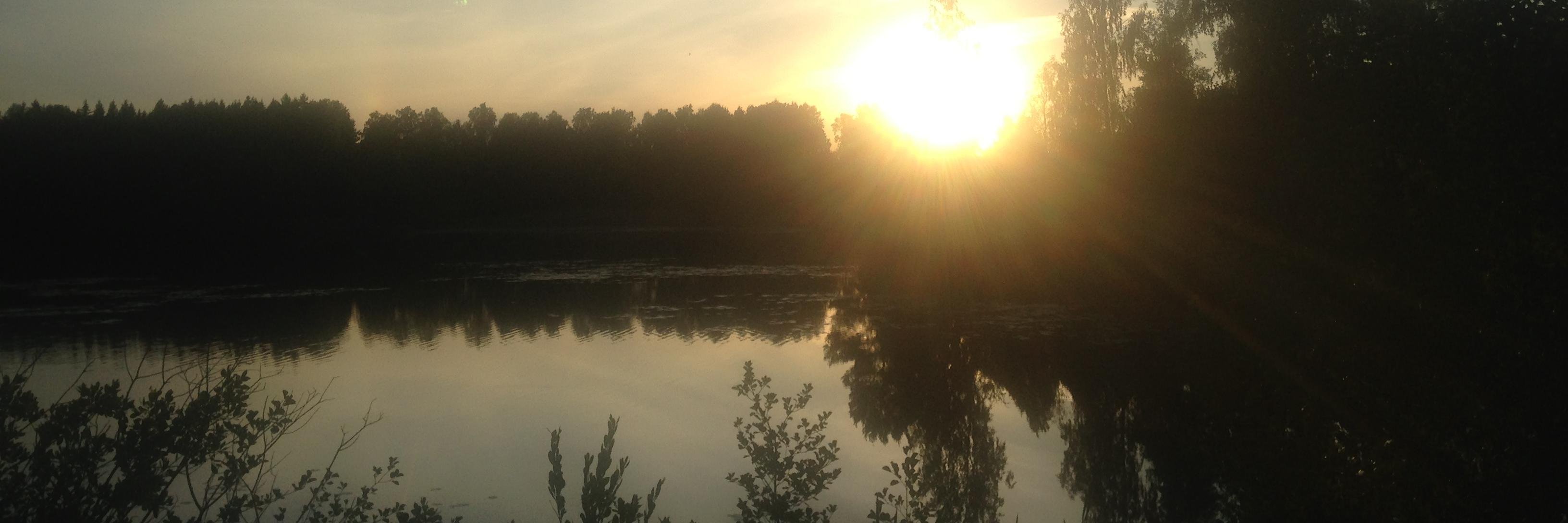 aullberg's profile banner image