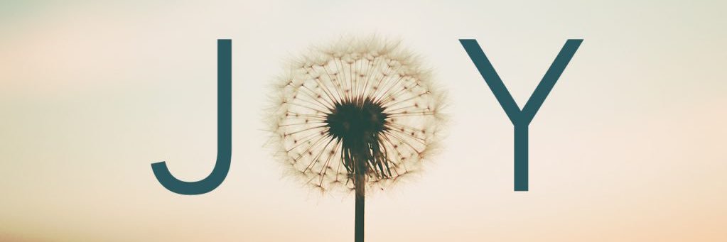 MisMegness banner