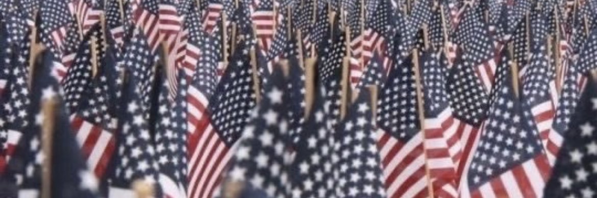 M A G America#1🇺🇸 banner
