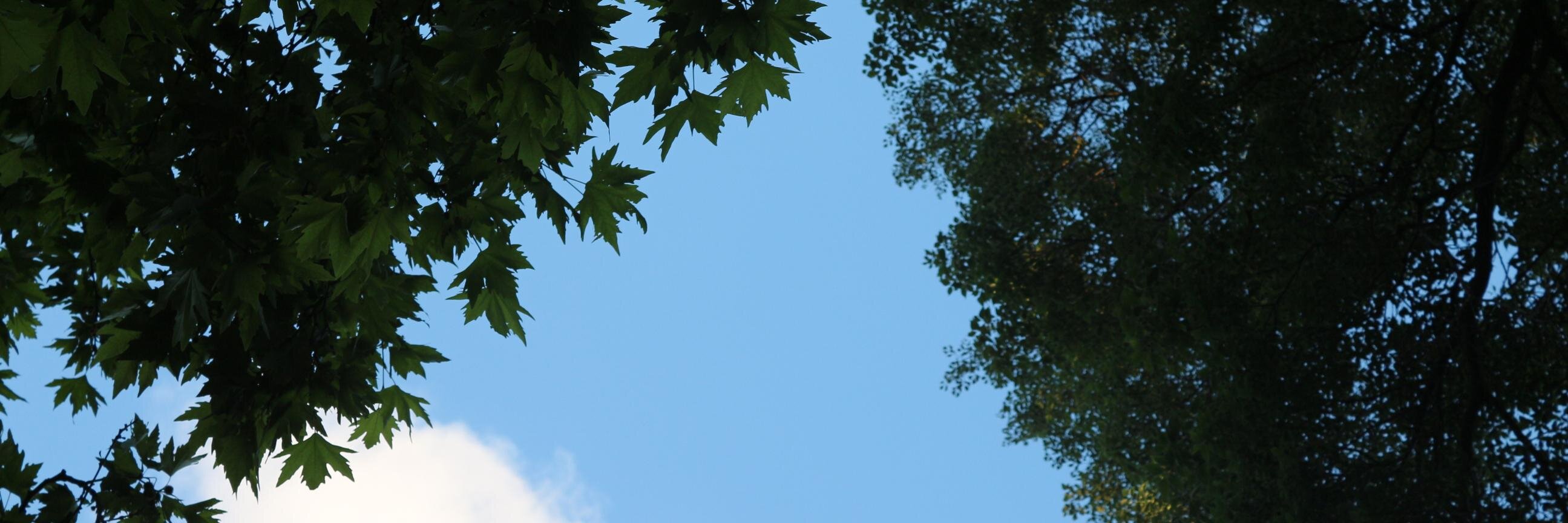 ikastam's profile banner image