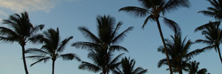LauraFelczak's profile banner image