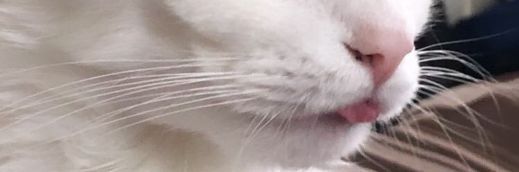 alegarciafl's profile banner image