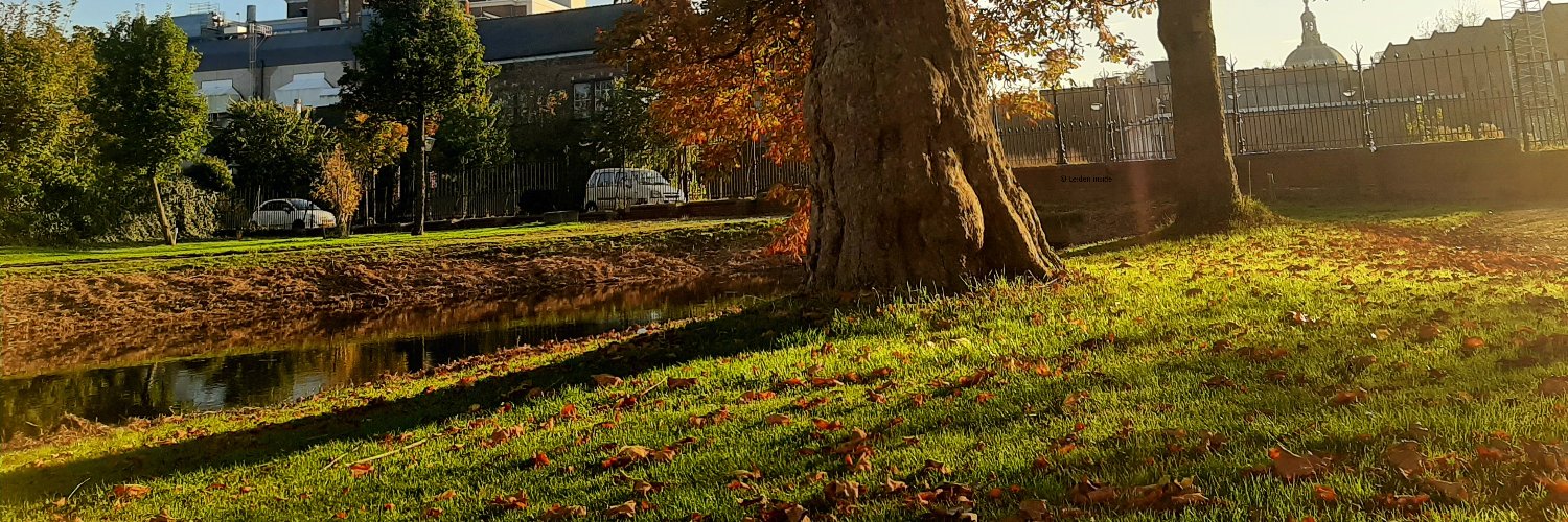SaschaSchwe's profile banner image