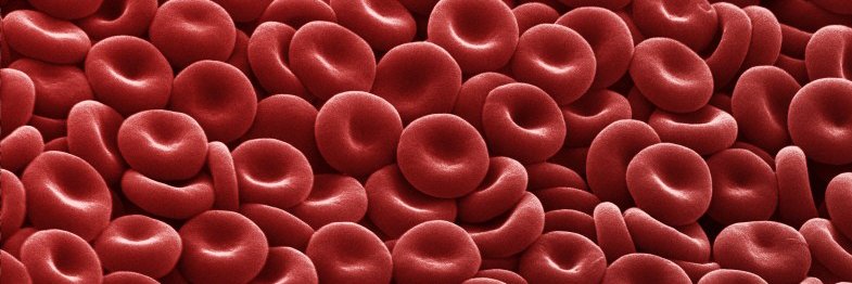 Science Ethics banner