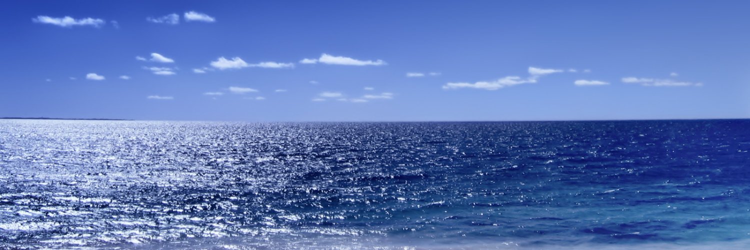 Edward Shinnick banner