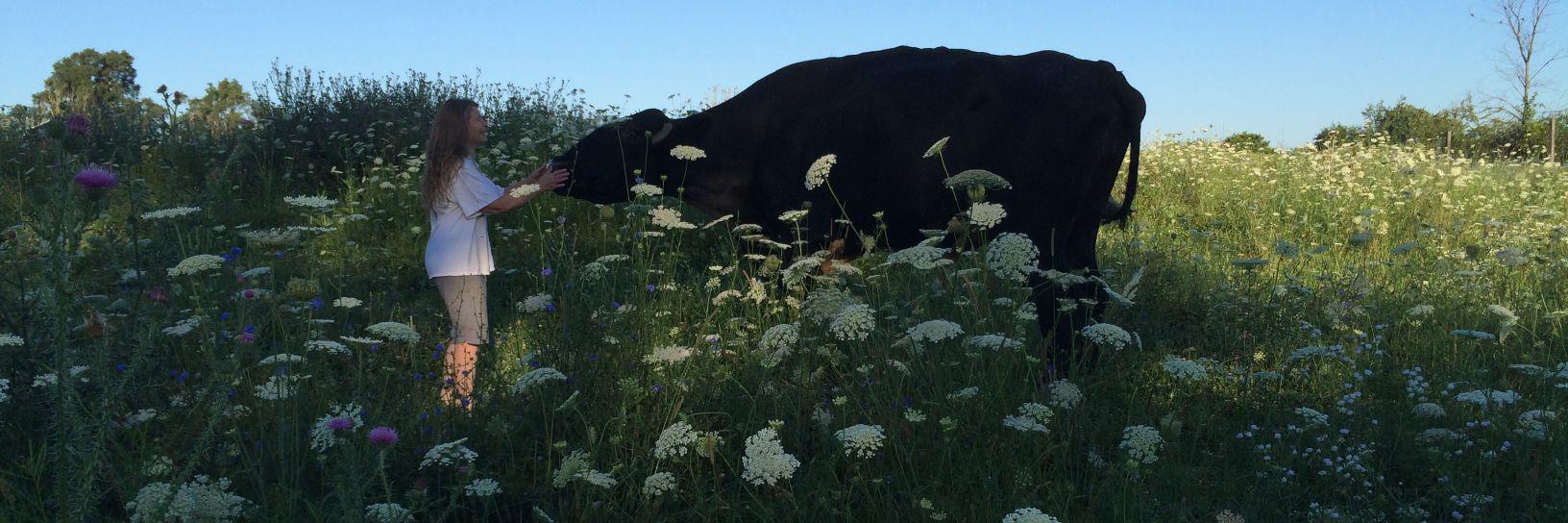 Christina Lirones banner