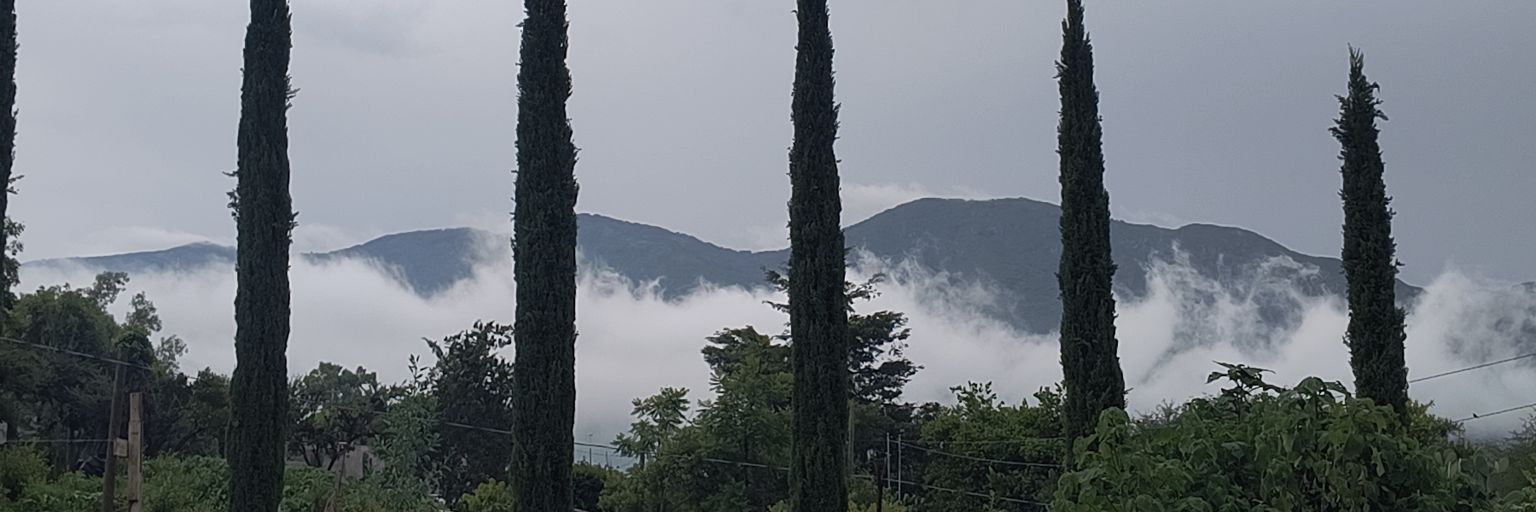 mkkungie's profile banner image