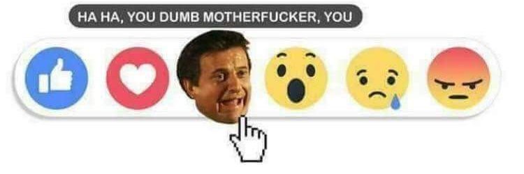 Branden Lesko banner